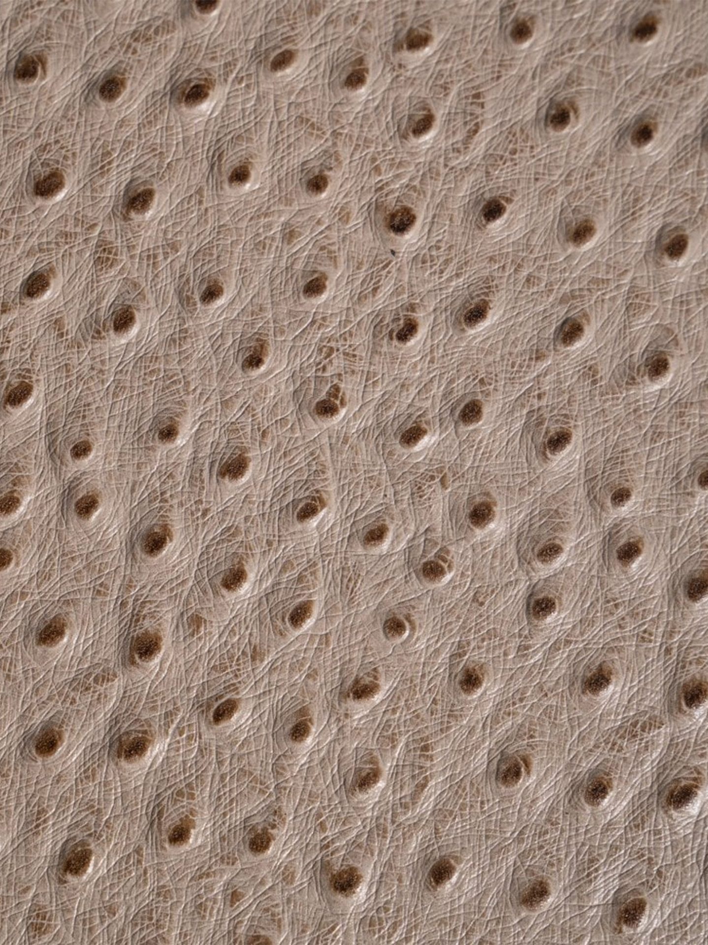 Close-up of ostrich leather highlighting the natural quill pattern and unique texture of the material